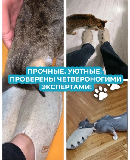 bb994a9d-45a3-4534-8624-727999ccf7a2-12.jpg